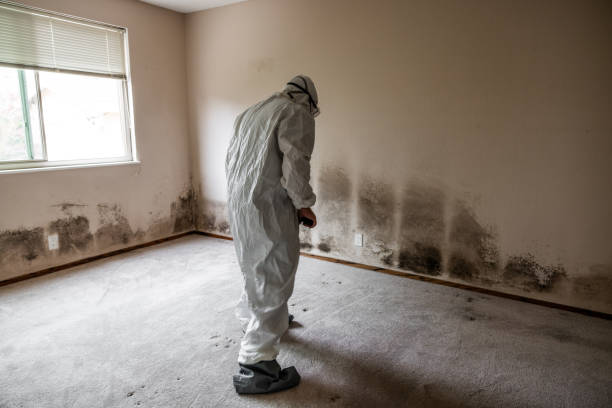 Forensic Mold Investigation in Highland Heights, KY